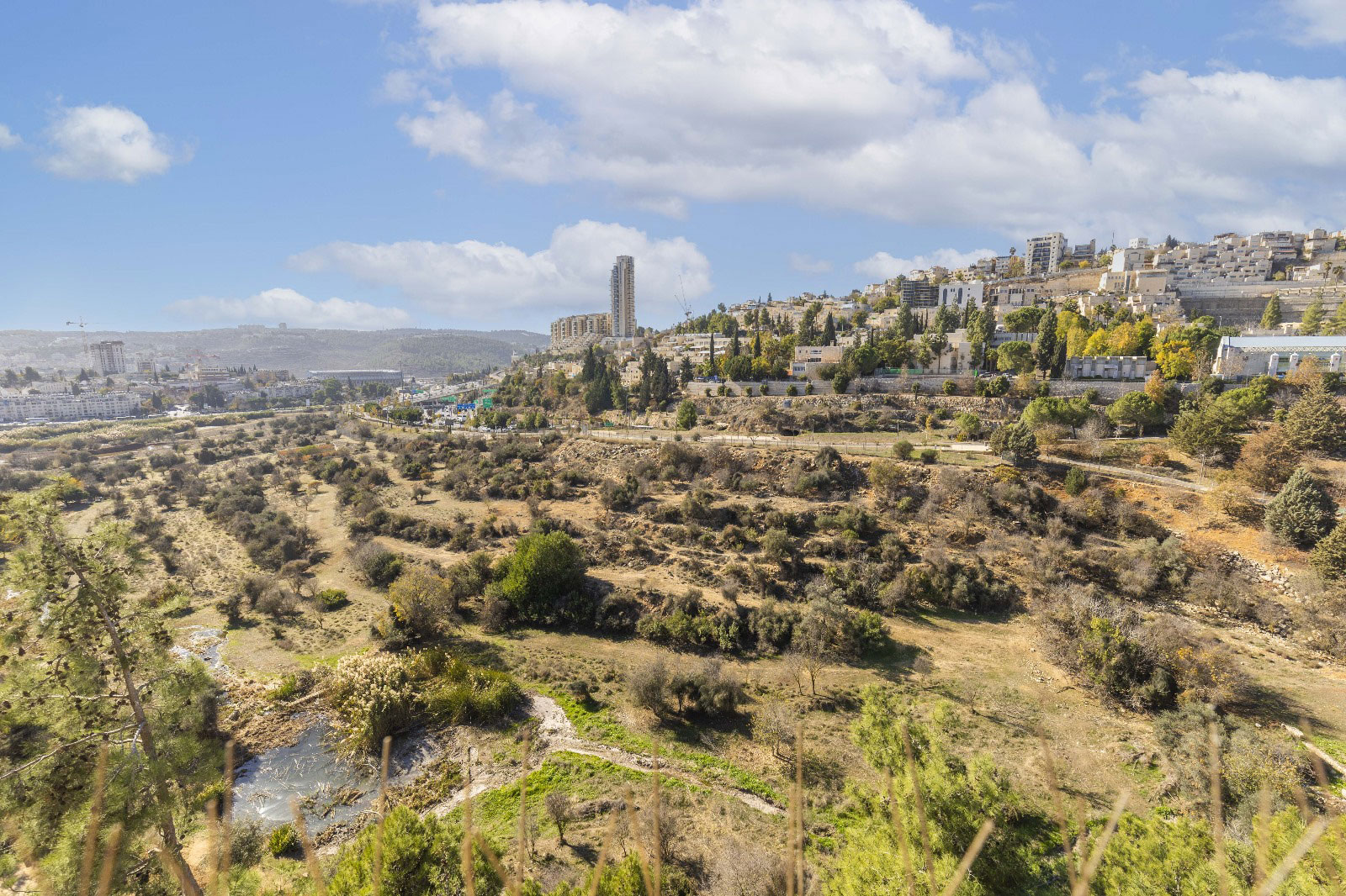 דירה למכירה בירושלים ברחוב שח"ל 51, גבעת מרדכי | עוצמה נכסים