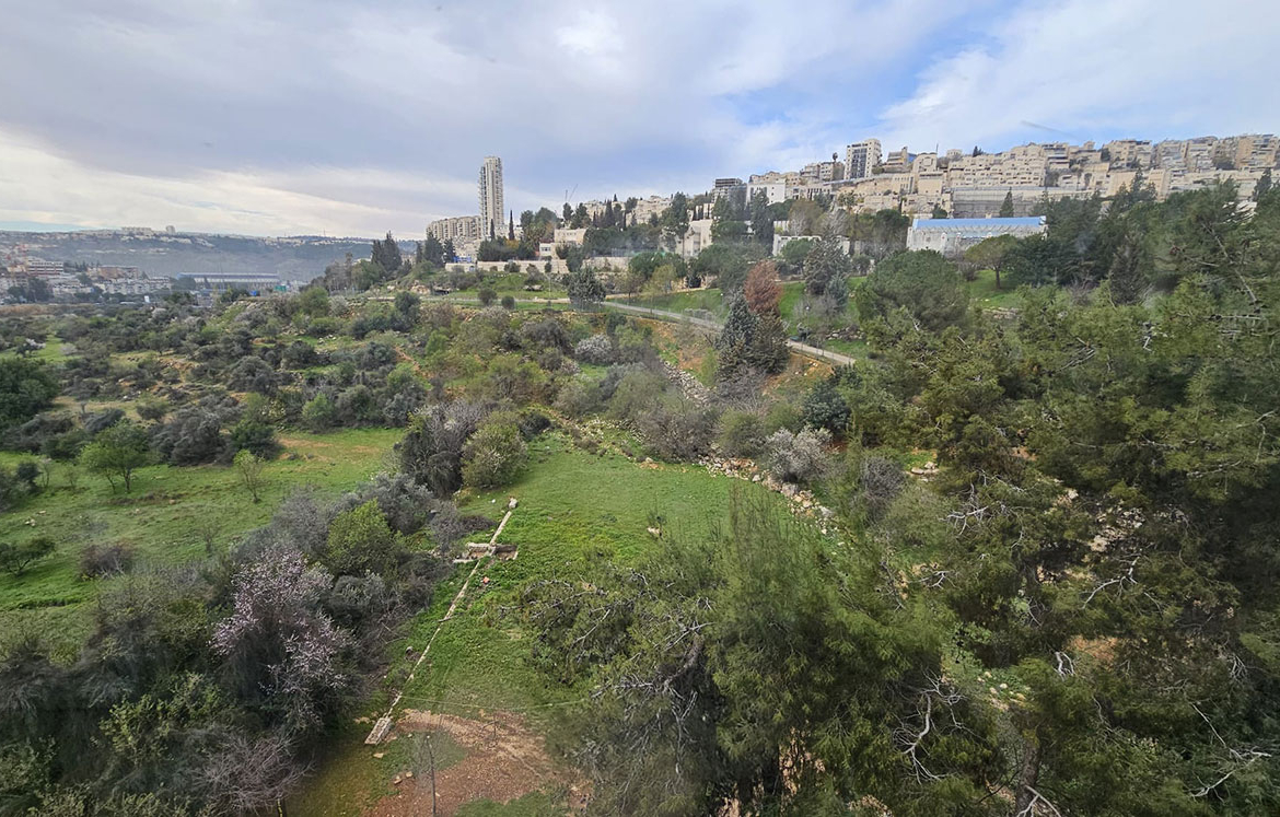דירה למכירה בירושלים, 4 חדרים בגבעת מרדכי | עוצמה נכסים
